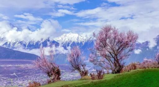 這些手機拍攝技巧不能忽視 出片率100%